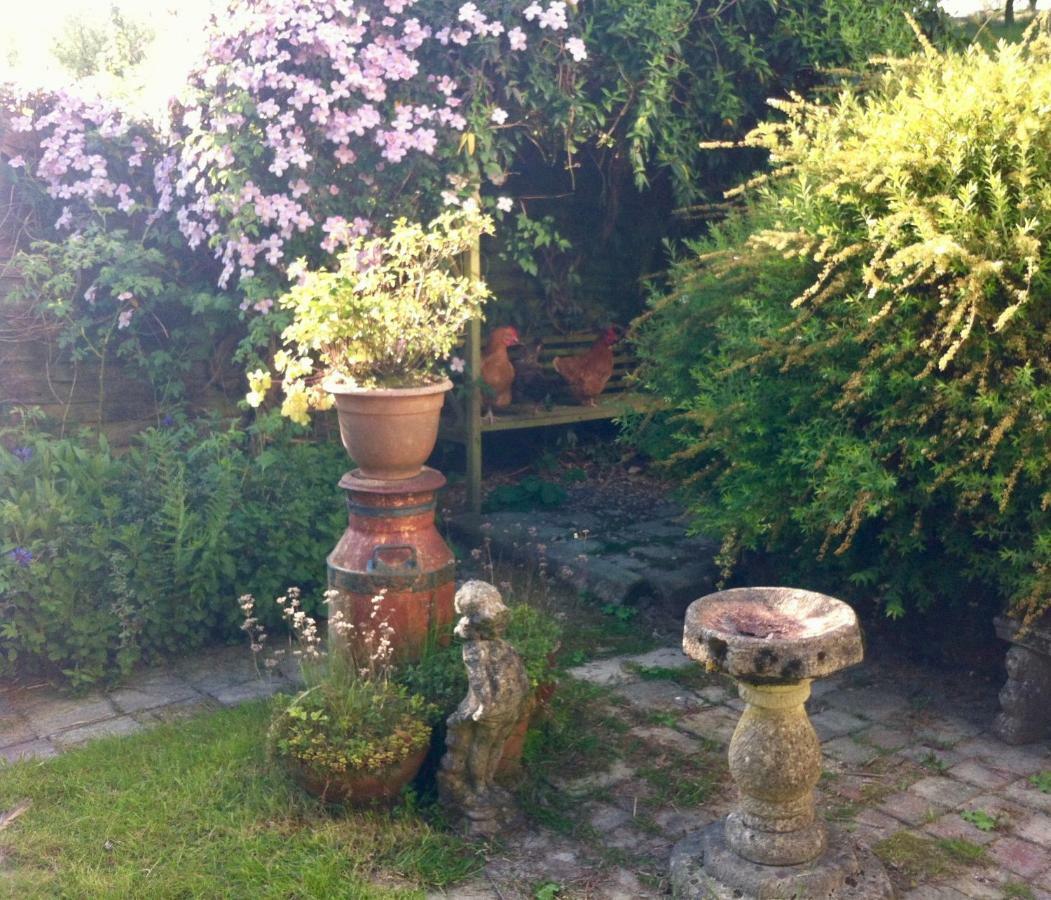 Five Saints Farmhouse B&B Pumpsaint Экстерьер фото